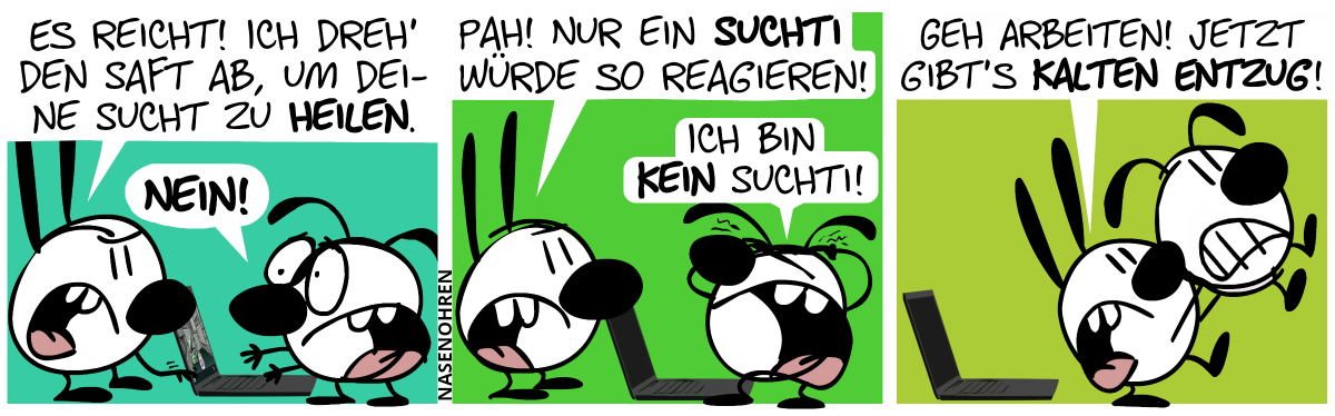 Eumel spielt am Laptop. Mimi: „Es reicht! Ich dreh’ den Saft ab, um deine Sucht zu heilen.“. Mimi bewegt die Hand zum Aus-Schalter. Eumel ist entsetzt: „Nein!“ / Mimi hat den Laptop ausgeschaltet. Mimi: „Pah! Nur ein Suchti würde so reagieren!“, Eumel: „Ich bin kein Suchti!“ / Mimi trägt Eumel weg. Mimi: „Geh arbeiten! Jetzt gibt’s kalten Entzug!“