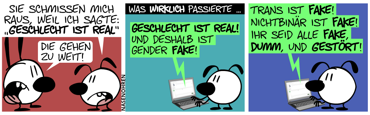 Eumel: „Sie schmissen mich raus, weil ich sagte: ‚Geschlecht ist real‘“. Mimi: „Die gehen zu weit!“ / Was wirklich passierte: Eumel tippt in den Laptop: „Geschlecht ist real! Und deshalb ist Gender Fake!“ / „Trans ist Fake! Nichtbinär ist Fake! Ihr seid alle Fake, dumm und gestört!“