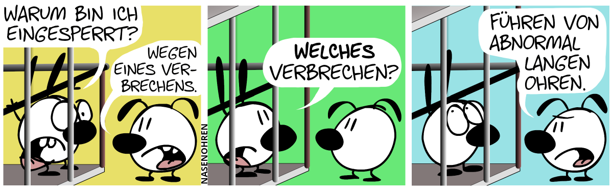 Mimi ist einem Käfig eingesperrt. Mimi: „Warum bin ich eingesperrt?“, Eumel: „Wegen eines Verbrechens.“ / Mimi: „Welches Verbrechen?“ / Eumel: „Führen von abnormal langen Ohren.“