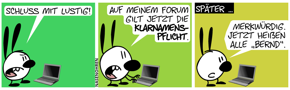 Mimi steht am Laptop. „Schluss mit lustig!“ / „Auf meinem Forum gilt jetzt die Klarnamenspflicht.“ / Später … Mimi: „Merkwürdig. Jetzt heißen alle ‚Bernd‘.“