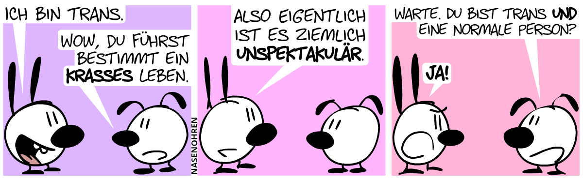 Mimi: „Ich bin trans.“. Eumel: „Wow, du führst bestimmt ein krasses Leben.“ / Mimi: „Also eigentlich ist es ziemlich unspäktakulär.“ / Eumel: „Willst du mir damit sagen, dass du trans und eine normale Person bist?“. Mimi (gereizt): „Ja!“.