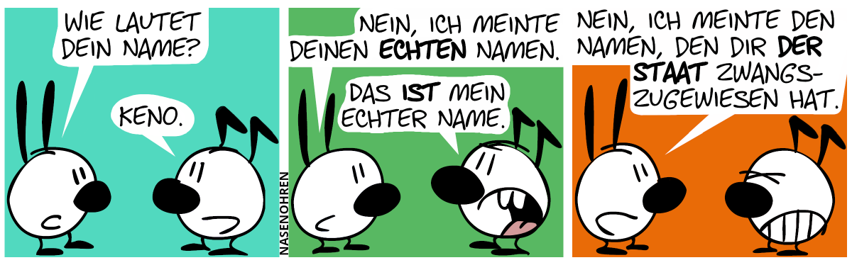 Mimi fragt Keno: „Wie lautet dein Name?“. Keno: „Keno.“ / Mimi: „Nein, ich meinte deinen echten Namen.“. Keno: „Das ist mein echter Name.“ / Mimi: „Nein, ich meinte den Namen, den dir der Staat zwangszugewiesen hat.“. Keno ist sichtlich genervt.