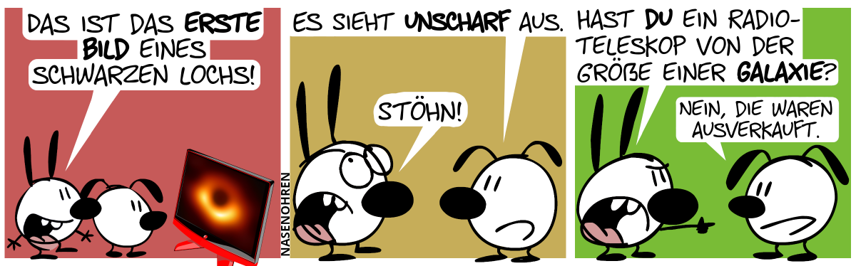 Mimi und Eumel blicken auf einem Bildschirm, der ein ringförmiges verschwommenes gelblich-rotes Etwas auf schwarzen Grund zeigt. Mimi: „Das ist das erste Bild eines schwarzen Lochs!“ / Eumel: „Es sieht unscharf aus.“. Mimi (genervt): „Stöhn!“ / Mimi zeigt auf Eumel: „Hast du ein Radioteleskop von der Größe einer Galaxie?“. Eumel: „Nein, die waren ausverkauft.“