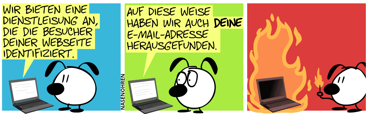 Eumel liest den Text auf einem Laptop. Der Text lautet: „Wir bieten eine Dienstleistung an, die die Besucher deiner Webseite identifiziert.“ / „Auf diese Weise haben wir auch deine E-Mail-Adresse herausgefunden.“ / Plötzlich steht der Laptop in Flammen, während Eumel mit ein paar Schritten Entfernung mit einem angezündetem Streichholz vor ihm steht.