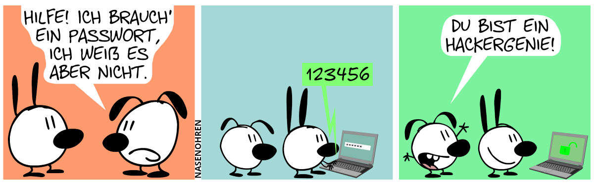 Eumel zu Mimi: „Hilfe! Ich brauch’ ein Passwort, ich weiß es aber nicht.“ / Ein Laptop wird sichtbar und Mimi gibt „123456“ ein. Eumel sieht zu. / Ein grünes offenes Schlosssymbol erscheint auf dem Bildschirm. Mimi lächelt und Eumel jubiliert: „Du bist ein Hackergenie!“