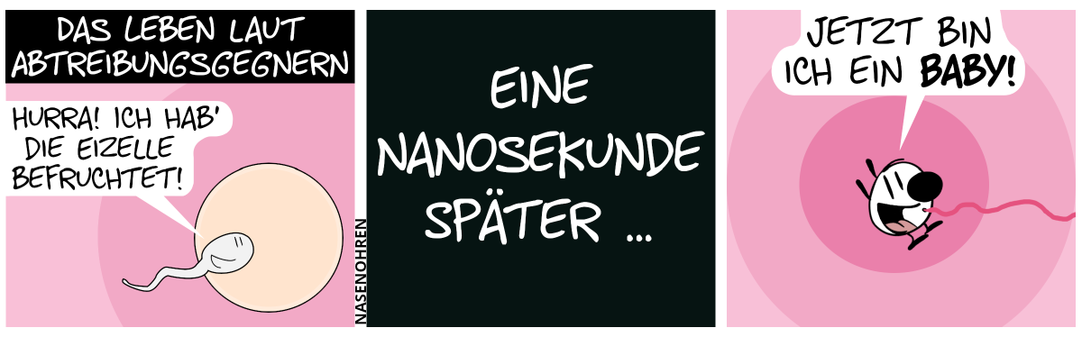 Titel: „Das Leben laut Abtreibungsgegnern“. Ein Spermium dringt in eine Eizelle ein. Das Spermium lächelt und sagt: „Hurra! Ich hab’ die Eizelle befruchtet!“ / Eine Nanosekunde später … / Die Eizelle und das Spermium sind verschwunden. Stattdessen ist eine kleine babyhafte Mimi mit Nabelschnur zu sehen. Mimi sagt fröhlich: „Jetzt bin ich ein Baby!“