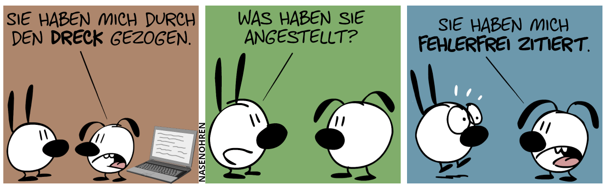 Hinter Eumel steht ein Laptop. Eumel spricht zu Mimi: „Sie haben mich durch den Dreck gezogen.“ / Mimi: „Was haben sie angestellt?“ / Eumel: „Sie haben mich fehlerfrei zitiert.“. Mimi schreckt hoch.