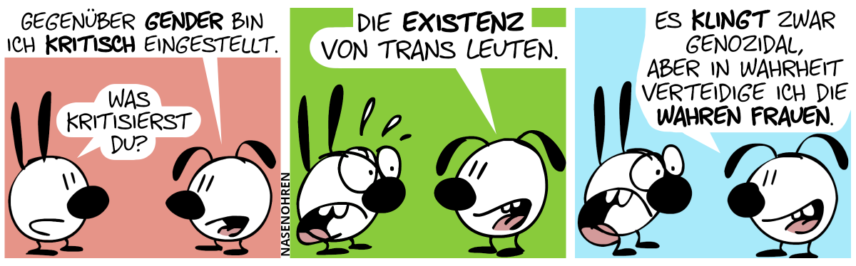 Eumel: „Gegenüber Gender bin ich kritisch eingestellt.“. Mimi: „Was kritisierst du?“ / Eumel: „Die Existenz von trans Leuten.“. Mimi macht einen entsetzten Gesichtsausdruck und kommt ins schwitzen.“ / Eumel lächelt: „Es klingt zwar genozidal, aber in Wahrheit verteidige ich die wahren Frauen.“