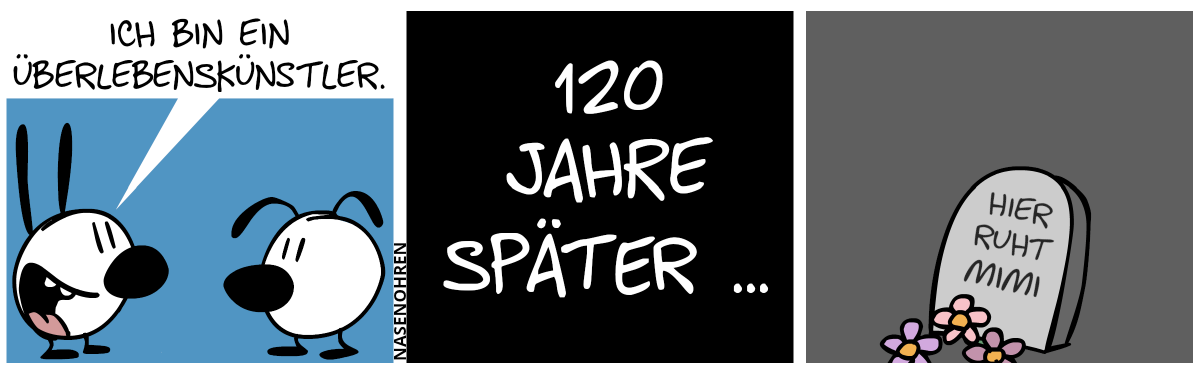 Mimi sagt zu Eumel: „Ich bin ein Überlebenskünstler.“ / 120 Jahre später … / Nur ein Grabstein wird gezeigt mit der Aufschrift „Hier ruht Mimi.“