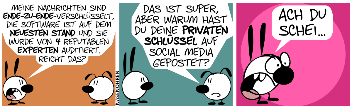 Mimi sagt leicht gereizt: „Meine Nachrichten sind Ende-zu-Ende-verschlüsselt, die Software ist auf dem neuesten Stand und sie wurde von 4 reputablen Experten auditiert. Reicht das?“ / Eumel: „Das ist super, aber warum hast du deine privaten Schlüssel auf Social Media gepostet?“ / Mimi kriegt einen Schrecken und schreit: „Ach du Schei…“