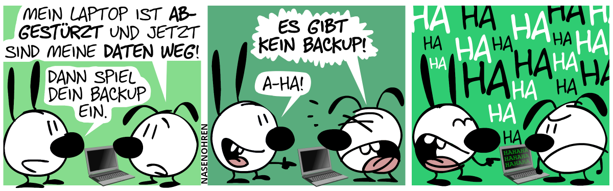 Eumel steht vor einem defekten Laptop. Eumel: „Mein Laptop ist abgestürzt und jetzt sind meine Daten weg!“, Mimi: „Dann spiel dein Backup ein.“ / Eumel (schreiend): „Es gibt kein Backup!“, Mimi zeigt auf Eumel und sagt „A-ha!“ / Mimi fängt an, Eumel laut auszulachen: „Hahahahahaha …“. Der Laptop geht plötzlich an und zeigt einen Text an: „HAHAHAHAHAHAHAHAHA“.