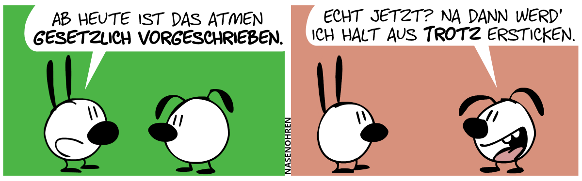 Mimi: „Ab heute ist das Atmen gesetzlich vorgeschrieben.“ / Eumel: „Echt jetzt? Na dann werd’ ich halt aus Trotz ersticken.“