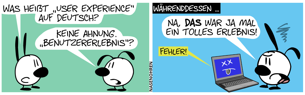 Mimi fragt Eumel: „Was heißt ‚user experience‘ auf Deutsch?“. Eumel: „Keine Ahnung. ‚Benutzererlebnis‘?“ / Währenddessen: Poppi steht vor einem abgestürzten Laptop, der laut „Fehler!“ sagt. Poppi sagt genervt: „Na, das war ja mal ein tolles Erlebnis!“