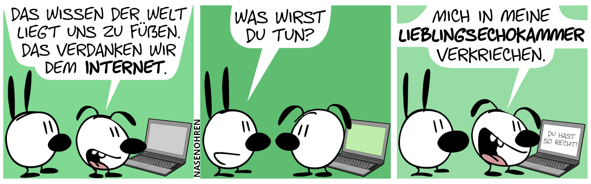 Eumel und Mimi gucken auf einen Laptop. Eumel: „Das Wissen der Welt liegt uns zu Füßen. Das verdanken wir dem Internet.“ / Mimi: „Was wirst du tun?“ / Eumel: „Mich in meine Lieblingsechokammer verkriechen.“. Auf dem Bildschirm erscheint der Text: „Du hast so recht!“