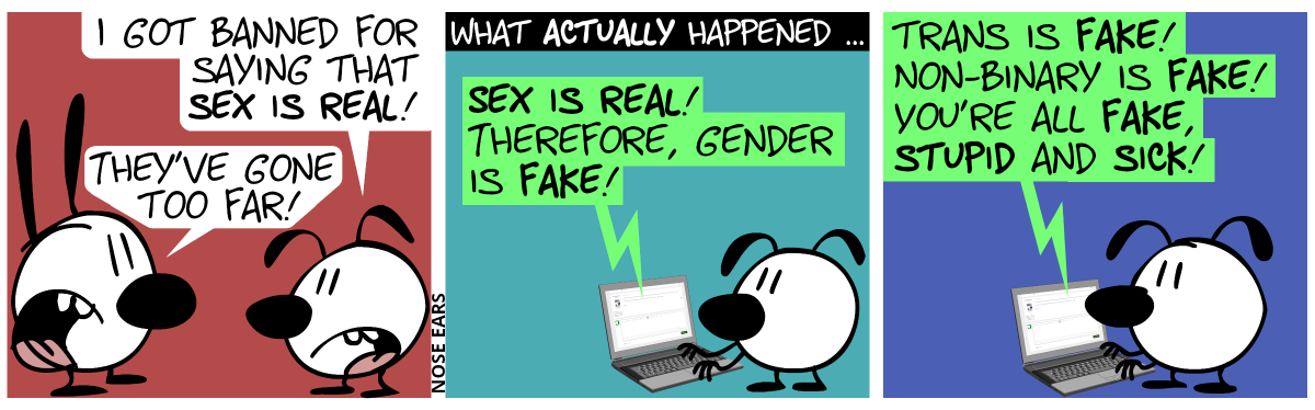 Eunice: “I got banned for saying that sex is real!”. Mimi: “They’ve gone to far!” / What actually happened: Eunice sits at the laptop, typing: “Sex is real! Therefore, gender is fake!” / “Trans is fake! Non-binary is fake! You’re all fake, stupid and sick!”