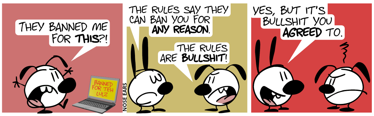 Eunice stands in front of a laptop, showing “Banned for teh lulz” on the screen, while Eunice angrily shouts out: “They banned me for this?!” / Mimi appears. Mimi: “The rules say they can ban you for any reason.”. Eunice: “The rules are bullshit!” / Mimi: “Yes, but it’s bullshit you agreed to.”. Eunice makes an angry face.