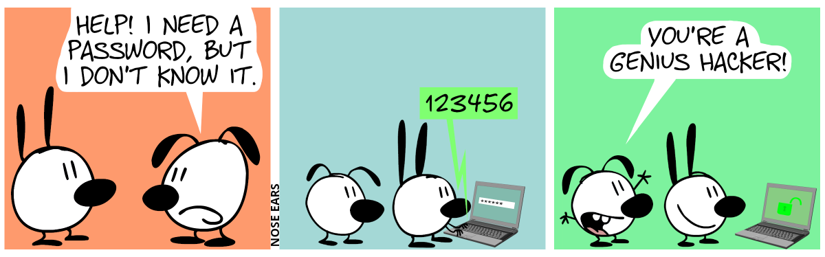 Eunice says to Mimi: “Help! I need a password, but I don’t know it.“ / A laptop appears. Mimi types in: “123456”. Eunice watches. / A green open lock symbol appears on the screen. Mimi smiles and Eunice celebrates: “You’re a genius hacker!”