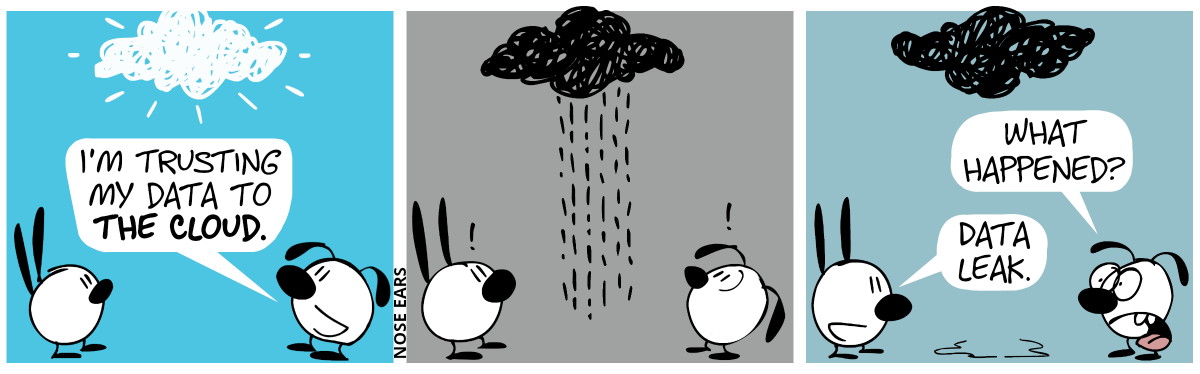 Eunice and Mimi look at a white cloud in the sky. Eunice: “I’m trusting my data to the cloud.” / The cloud turns black and starts to rain. Mimi and Eunice are mildly staggered. / The rain stopped, there’s a puddle on the floor. Eunice is outraged and asks: “What happened?”. Mimi: “Data leak.”