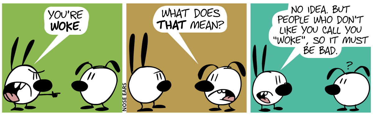 Mimi points at Eunice and says with an angry voice: “You’re woke.” / Eunice: “What does that mean?” / Mimi: “No idea. But people who don’t like you call you ‘woke’, so it must be bad.”. Eunice is confused.