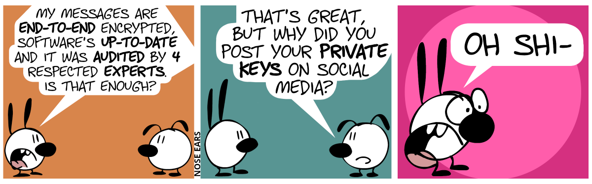 Mimi is slightly annoyed. Mimi: “My messages are end-to-end encrypted, software’s up-to-date and it was audited by 4 respected experts. Is that enough?” / Eunice: “That’s great, but why did you post your private keys on social media?” / Mimi is shocked and screams: “Oh shi-”