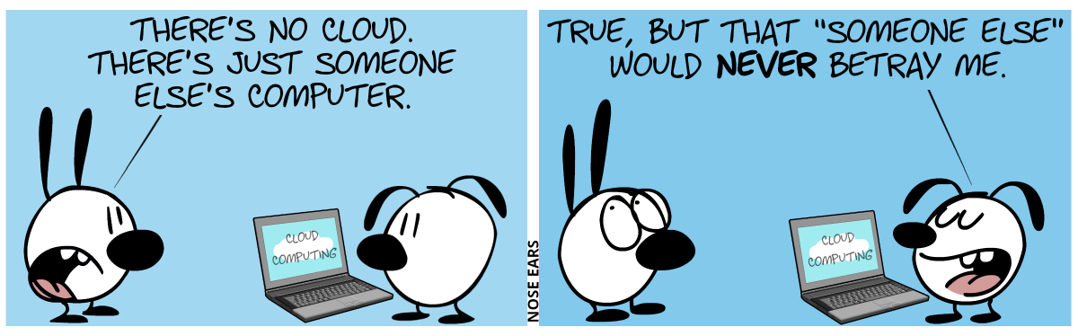 Eunice stands in front of a laptop. The screen says: “Cloud Computing”. Mimi says: “There’s no cloud. There’s just someone else’s computer.” / Eunice: “True, but that ‘someone else’ would never betray me.”